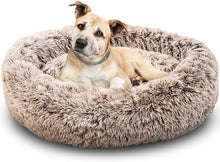 Load image into Gallery viewer, Doggy Dream™ - Dog Caling Bed
